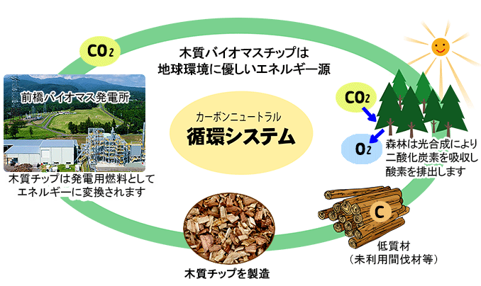 カーボンニュートラルの説明図