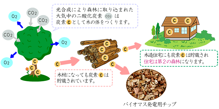 イメージ図