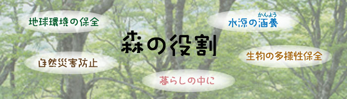 森の役割